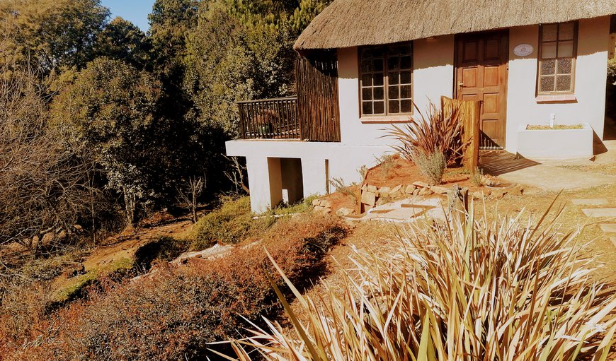 Guinea Fowl Studio Cottage: Outside view of cottage