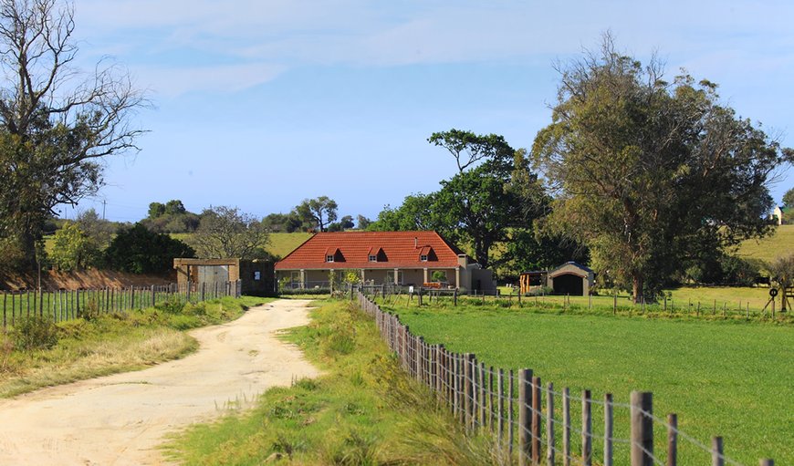 Welcome to Libertas Guest Farm - The Farmhouse in Hoekwil, Western Cape, South Africa