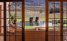 Royal Karoo Safari Lodge image