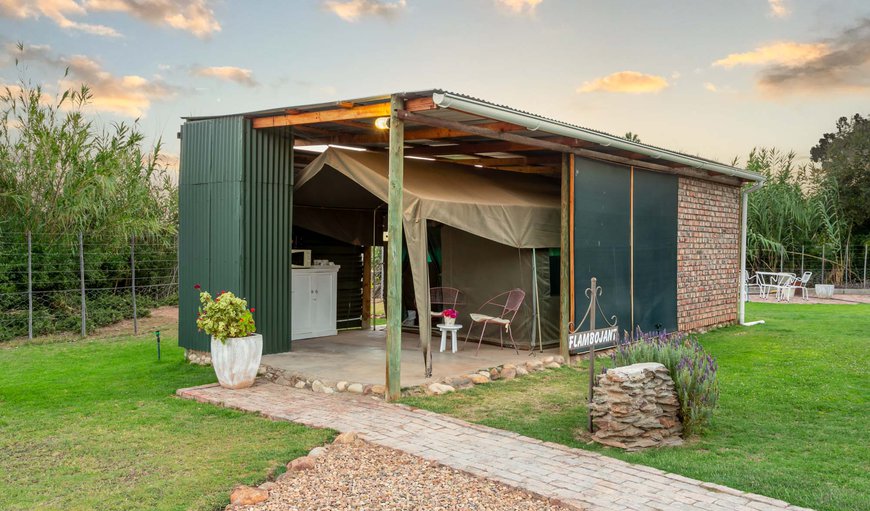 Schoemanshoek Glamping in Schoemanshoek, Oudtshoorn, Western Cape, South Africa