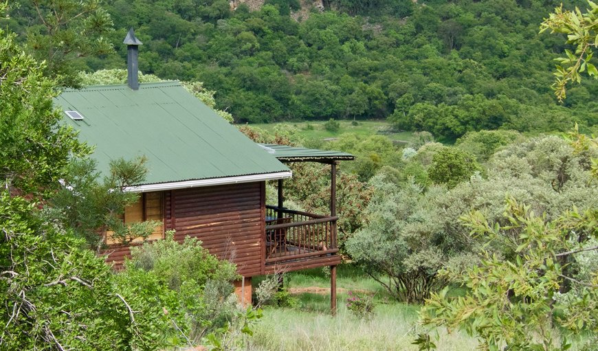 View over log cabin