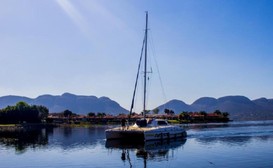 Wildcat Catamaran Cruises image