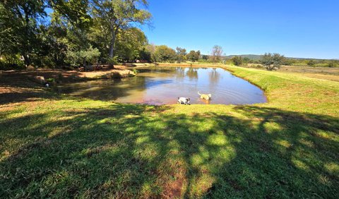 Campsite 3: Camping Site