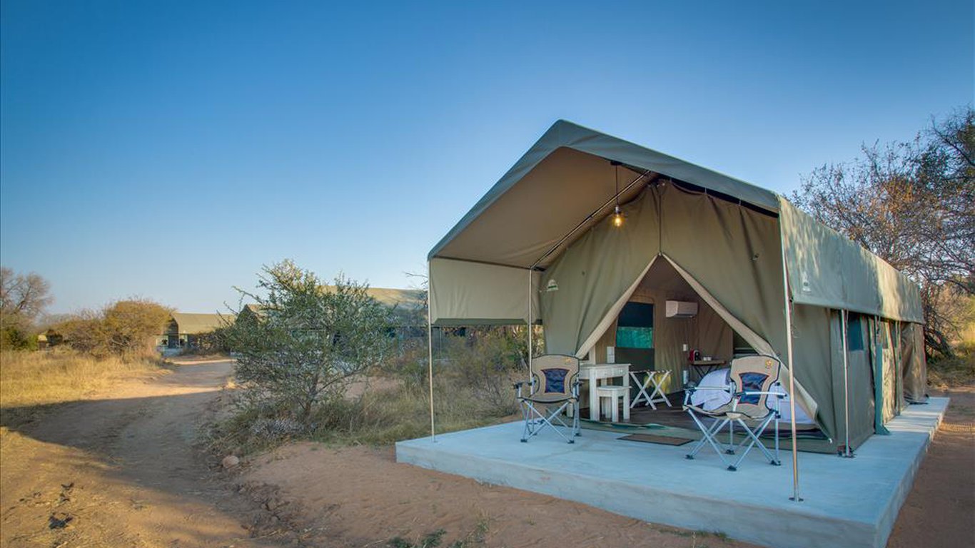 safari tents dinokeng