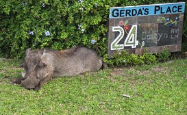 Gerda's Place image