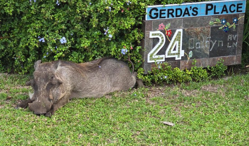 Gerda's Place in St Lucia, KwaZulu-Natal, South Africa