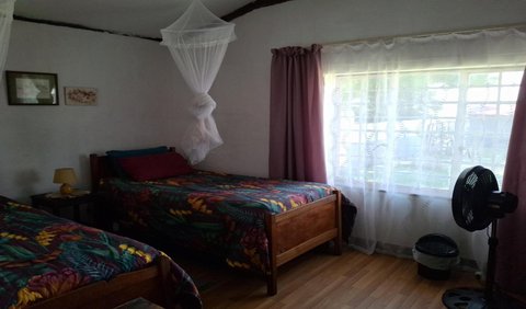 Standard Twin Room: Photo of the whole room