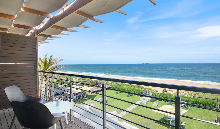 Hammerhead Shark: Balcony view