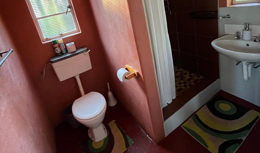 Standard Double: Bathroom