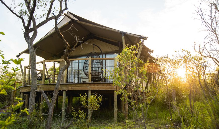 Mdluli Safari Lodge In Hazyview — Best Price Guaranteed