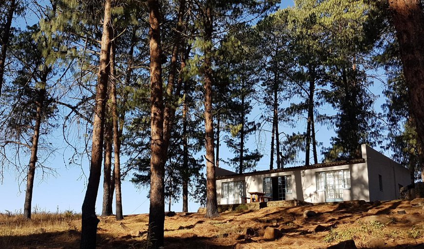 Pine Cottage: Pine Cottage - Exterior