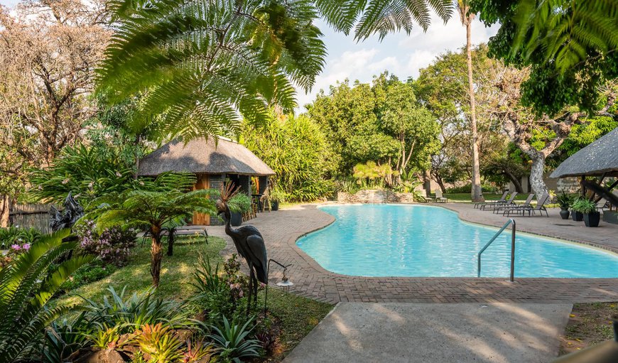 Pool Area in Klaserie Private Nature Reserve, Limpopo, South Africa