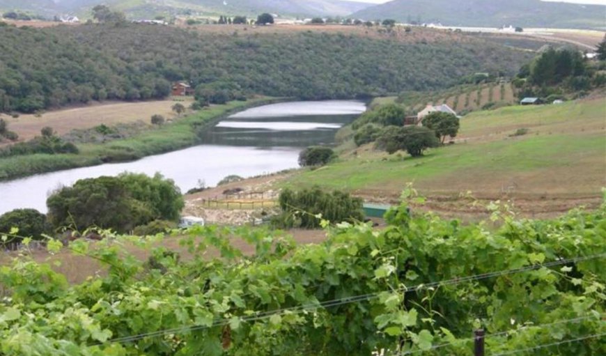 Milkwood Cottage: Lake view from Milkwood Cottage