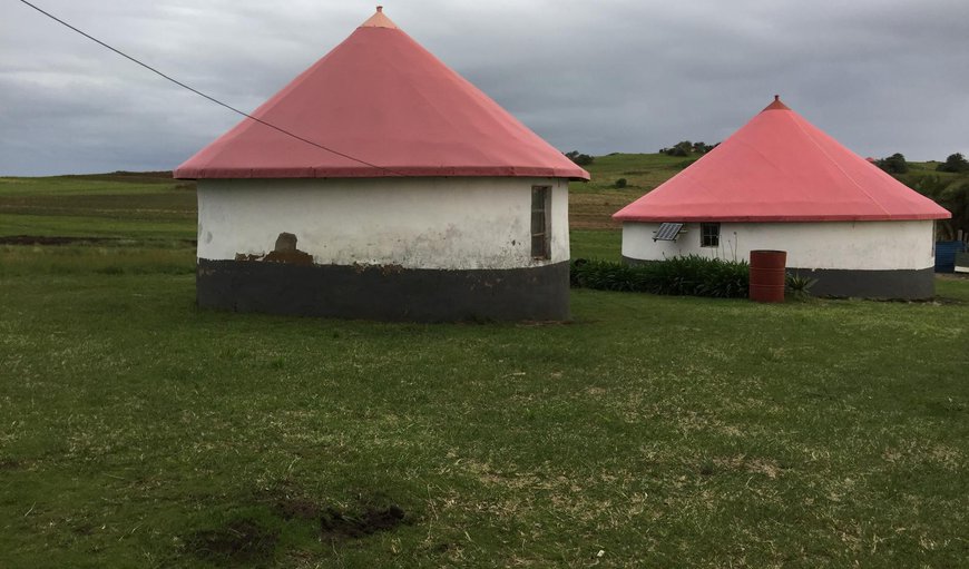 Zanele's Homestay Hut: Huts exterior