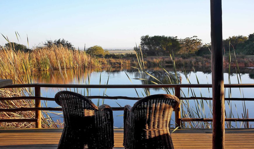 Welcome to Belle Balance Bush Lodge! in Plettenberg Bay, Western Cape, South Africa