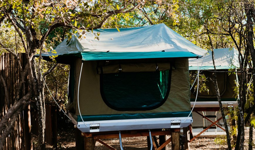 Tented Camp with Private Ablution: Tented Camp - Outside view