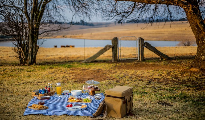 Veranda in Harrismith, Free State Province, South Africa