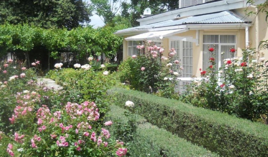 Garden in Cradock, Eastern Cape, South Africa