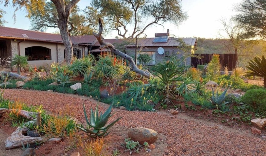 Garden in Phalaborwa, Limpopo, South Africa