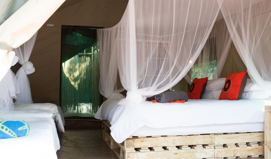 Southern Sands Eco Lodge - Tent 1: Photo of the whole room