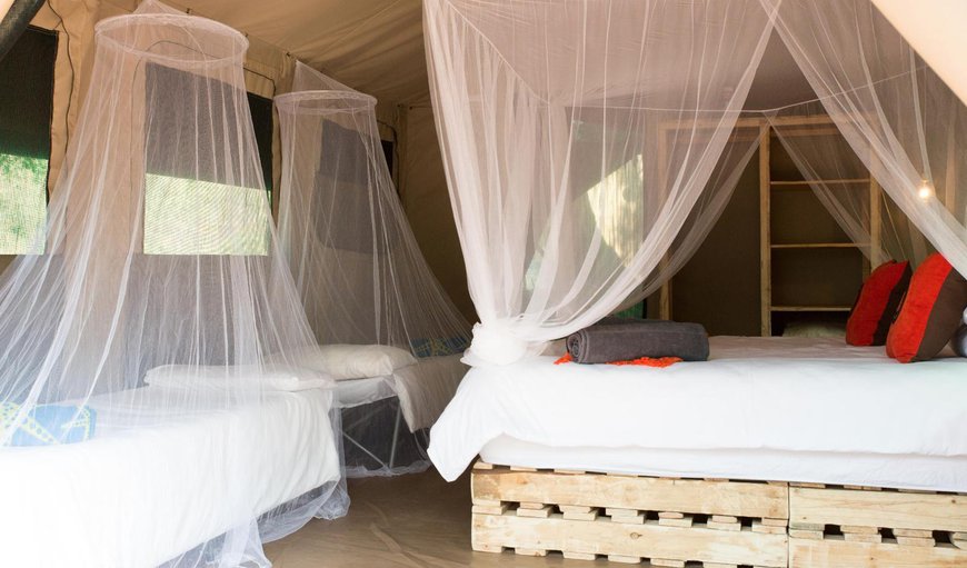 Southern Sands Eco Lodge - Tent 2: Bed