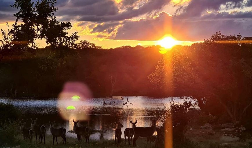 Natural landscape in Hoedspruit, Limpopo, South Africa