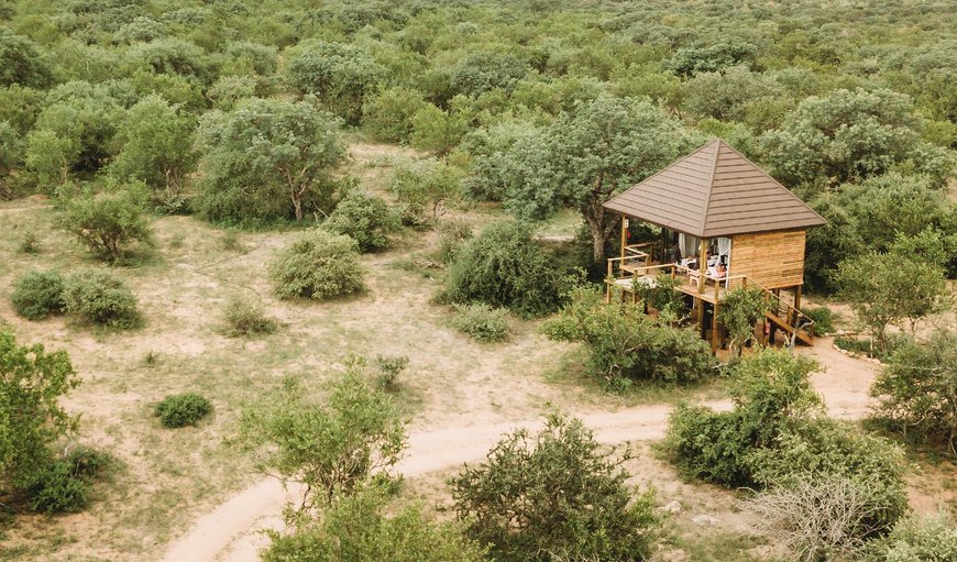 Unit One: Treehouse Villa: Bathroom