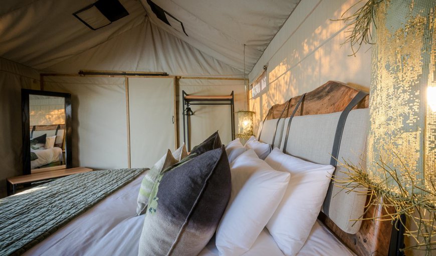 Luxe Safari Tent 3: Luxe Safari Tent 3