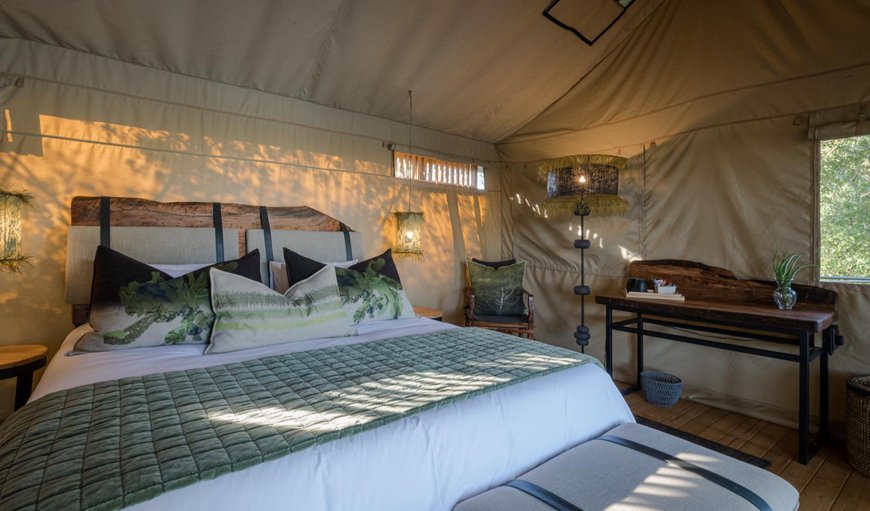 Luxe Safari Tent 5: Luxe Safari Tent 5