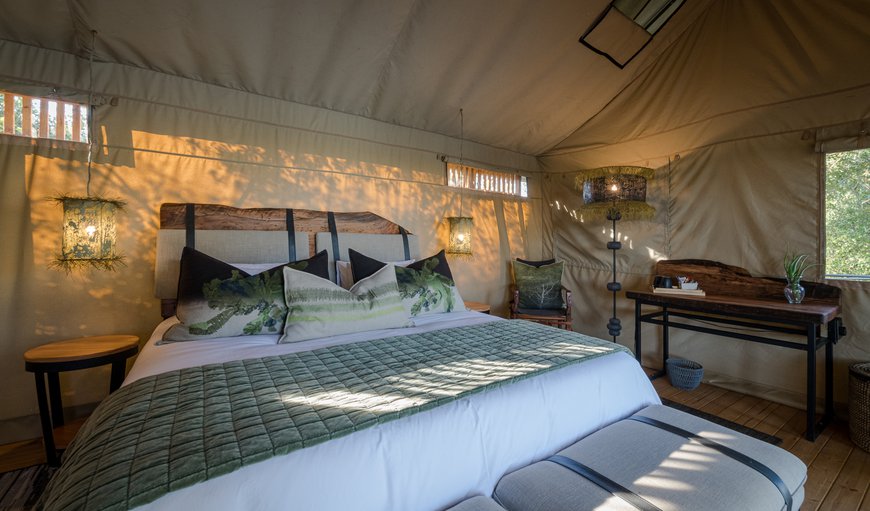 Luxe Safari Tent 2: Luxe Safari Tent 2