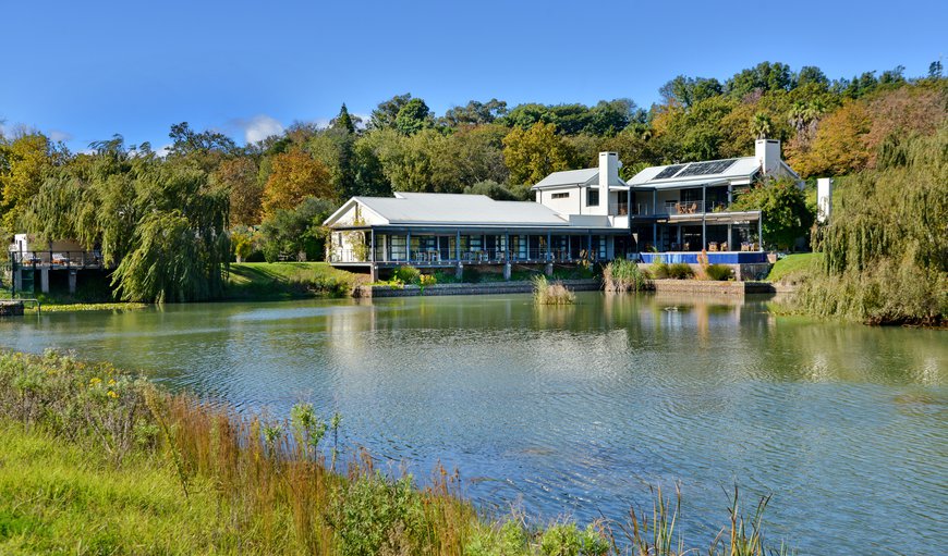 Lake/Dam in  Stellenbosch Central, Stellenbosch, Western Cape, South Africa