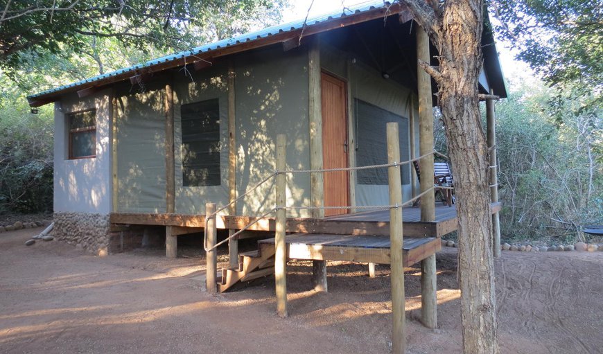 Tent 4: Balcony/Terrace