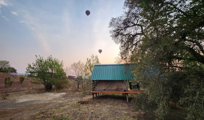 Jackal Cry River View Tent: Property View