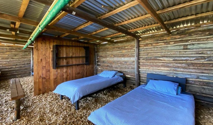 Log Cabin and Campsites: Single beds inside the cabin