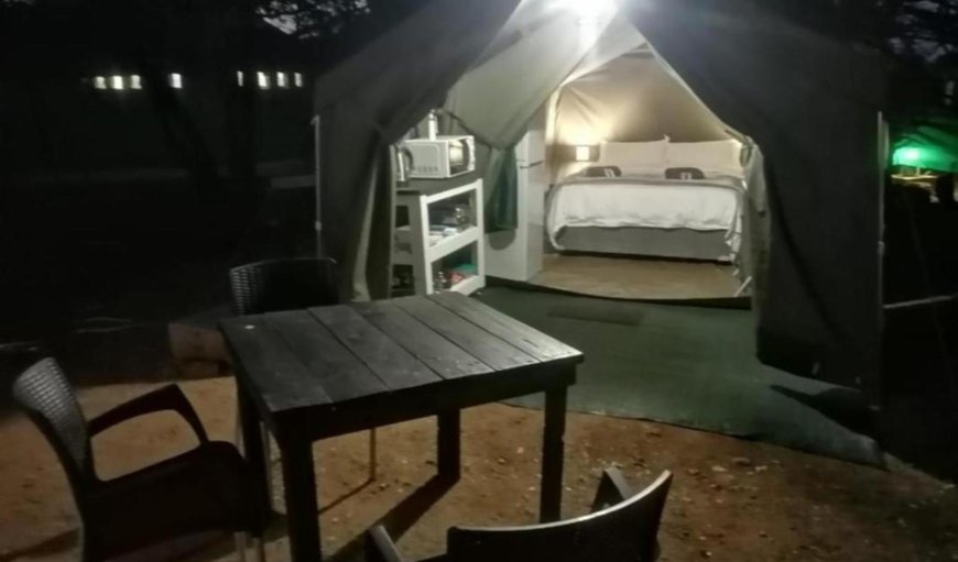 Comfort Safari Tent: View (from property/room)