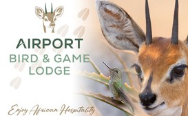 Airport Bird & Game Lodge image