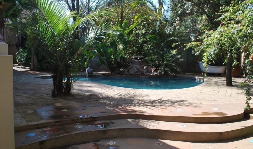 Swimming pool in Parktown North , Johannesburg (Joburg), Gauteng, South Africa