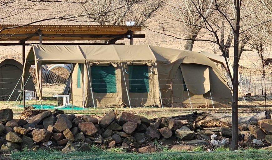 Family Tent: View (from property/room)