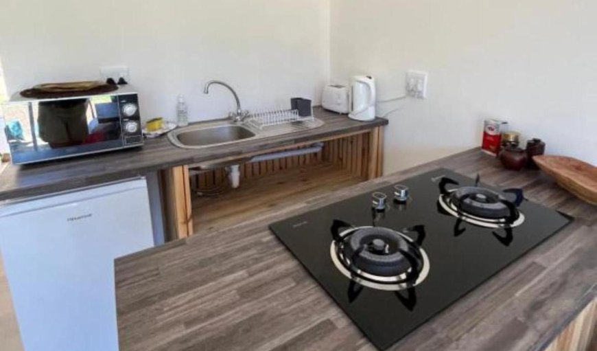 One-bedroom Apartment - Self-catering: Kitchenette