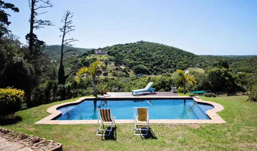 Pool view in Port Elizabeth (Gqeberha), Eastern Cape, South Africa