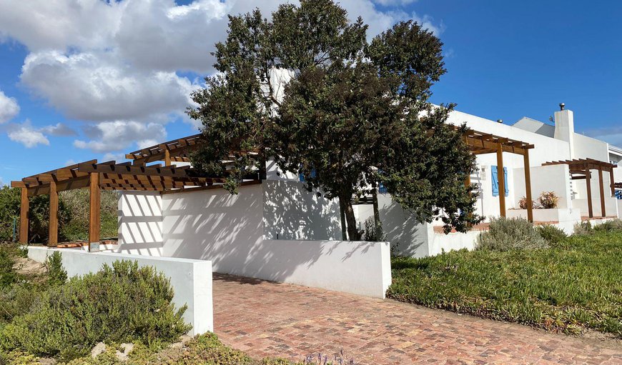 Welcome to African Daisy in Paternoster, Western Cape, South Africa