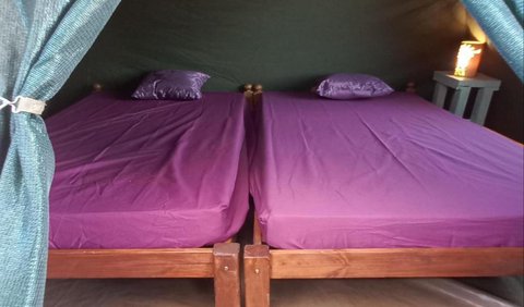 Botterboom Campsite: 2 single beds inside on-site tent