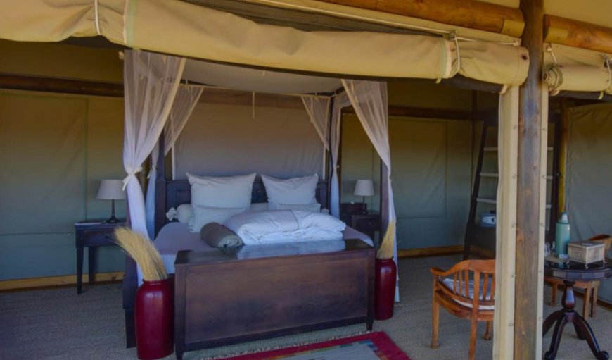 Tented Room: Tented Room