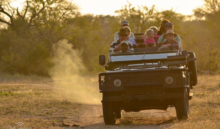 Game drive in Balule Nature Reserve, Limpopo, South Africa