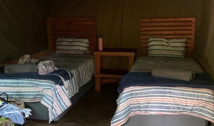 Tented Camp: Photo of the whole room