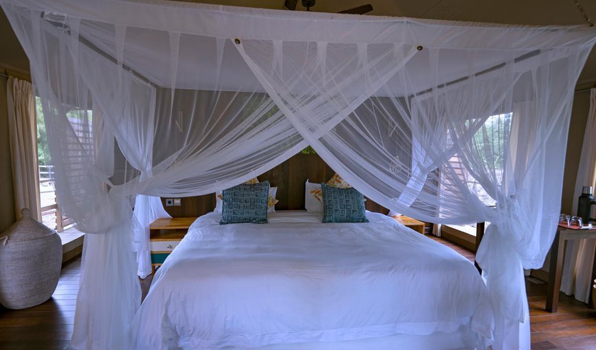 Comfort King Tent: Bed