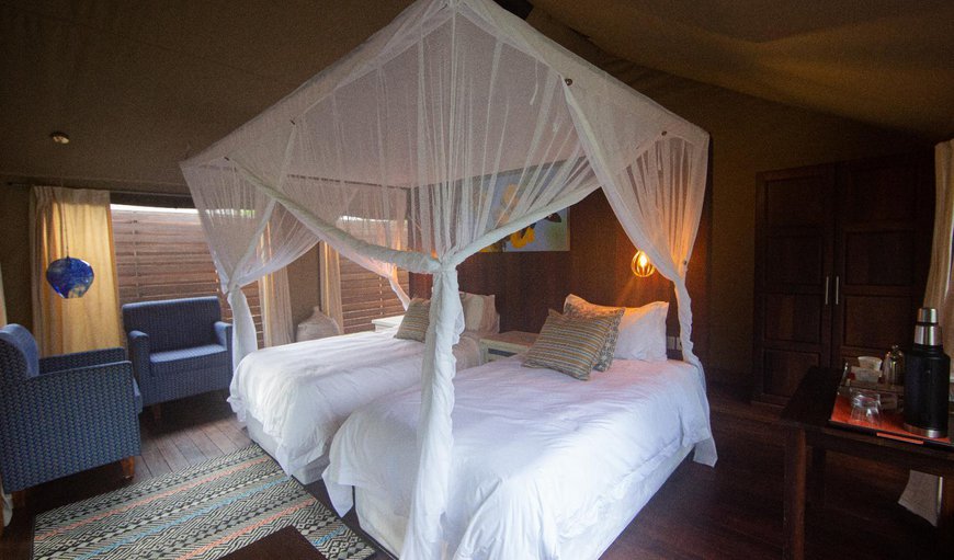 Premier King Tent: Bed