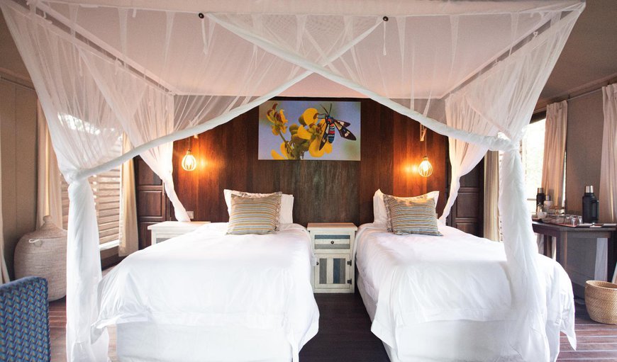 Premium King Tent: Bed