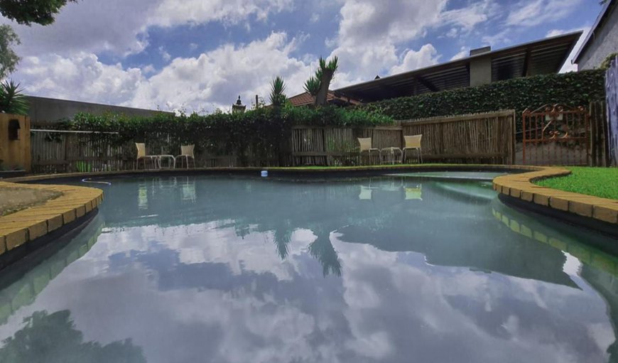 Swimming pool in Melville, Johannesburg (Joburg), Gauteng, South Africa