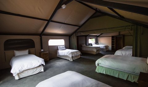 8 Sleeper Tent Communal Bathrooms: Bed